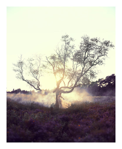 A New Dawn