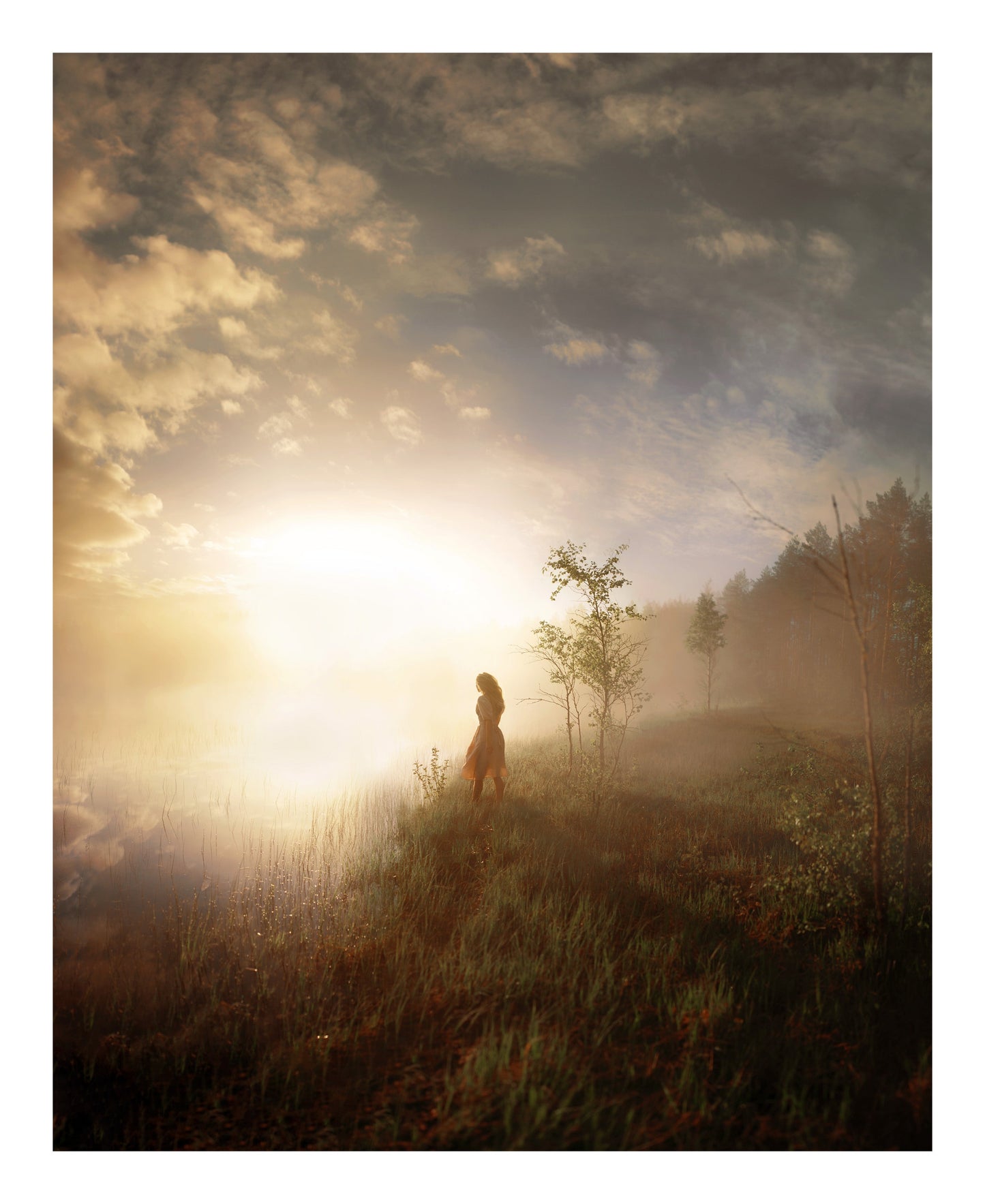 The Weight Of Light